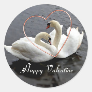 Courting swans plate classic round sticker