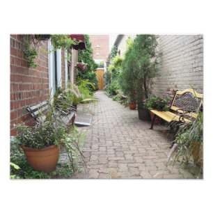 courtyard alley bench plants bricks cobble stone photo print