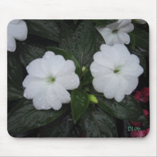 Courtyard blooms, DJ 06 Mouse Pad
