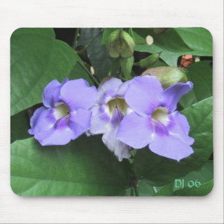 Courtyard flowers, DJ 06 Mouse Pad