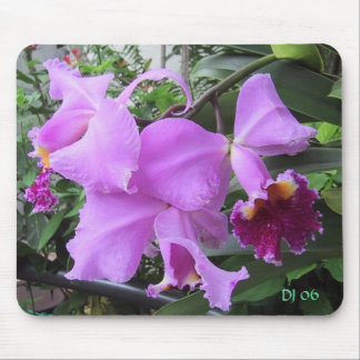 Courtyard Flowers, DJ 06 Mouse Pad