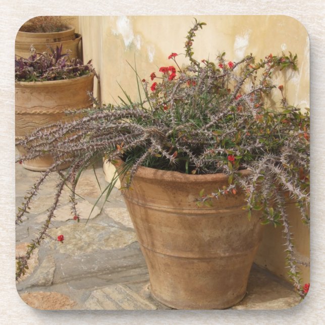 Courtyard Plant Coasters (Front)