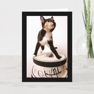 Couture Cat Card