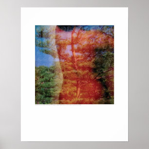 Cover art - Tree and Back - Griego Poster