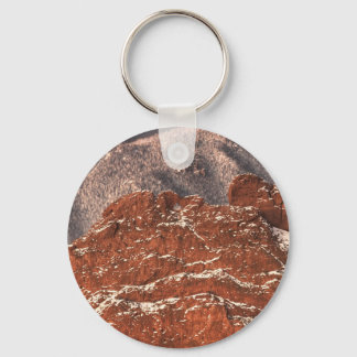 Covered in Snow Key Ring