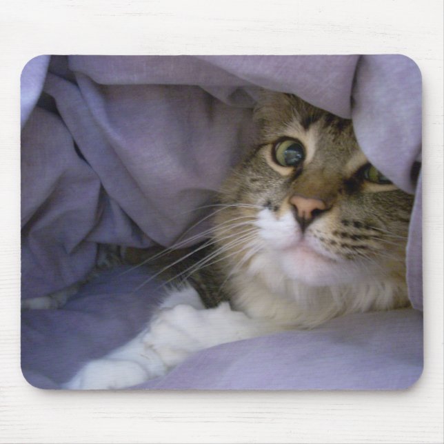 Covered Kitty Mousepad (Front)