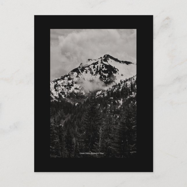 Covers Postcard (Front)