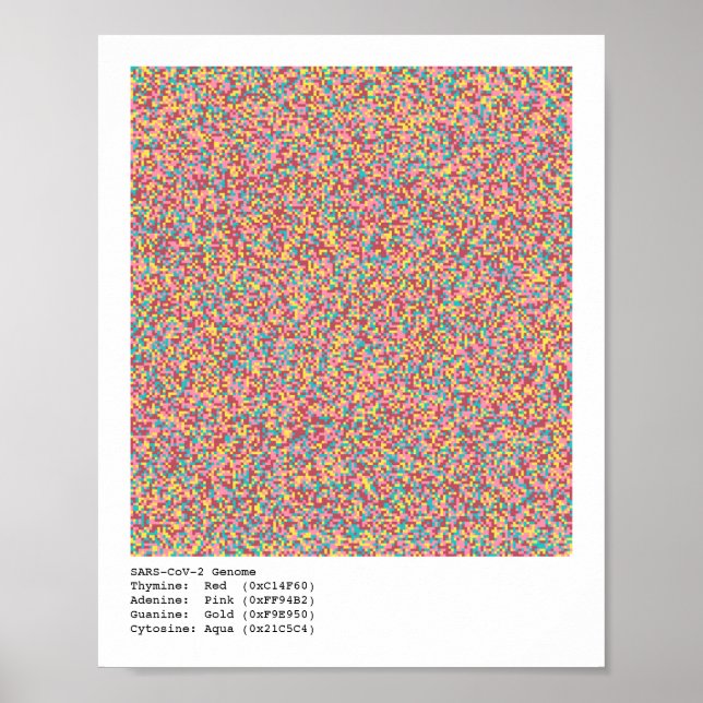 COVID-19 Genome Poster (Front)