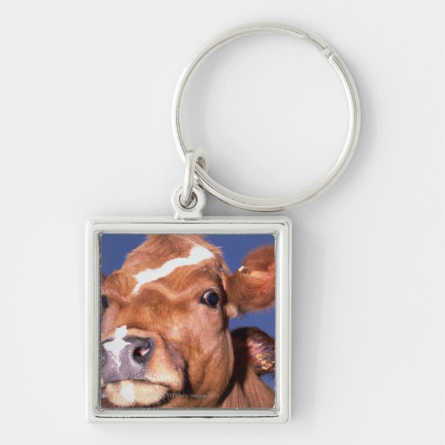 cow 2 key ring (Front)