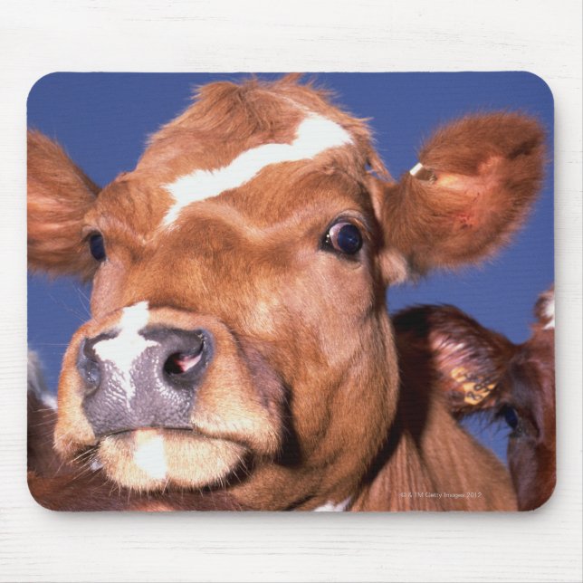 cow 2 mouse pad (Front)