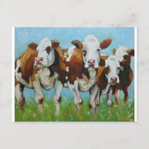 Cow#340 Postcard