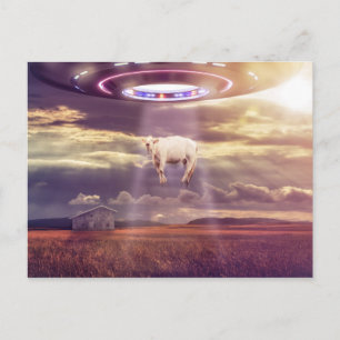 Cow Abducted by Aliens Fantasy Art Postcard