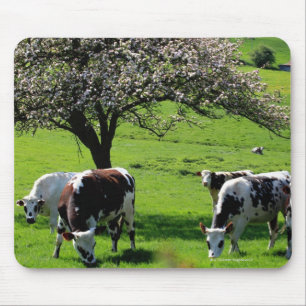 Cow among blooming apple trees in Normandy Mouse Pad