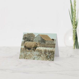 Cow and Barn - Blank Card