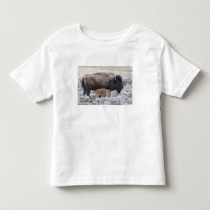 Cow and Calf Bison, Yellowstone Toddler T-Shirt