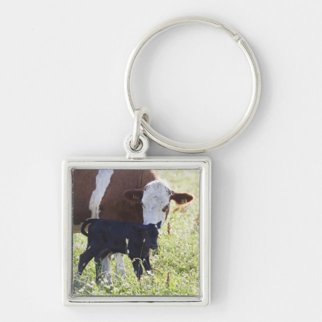 Cow and calf key ring (Front)