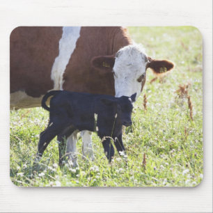Cow and calf mouse pad