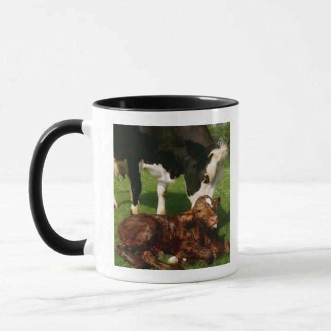 Cow and newborn calf mug (Left)