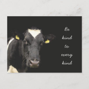 Cow Be Kind to every kind Postcard