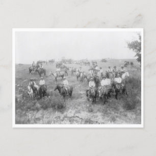 Cow Boy Mount Postcard