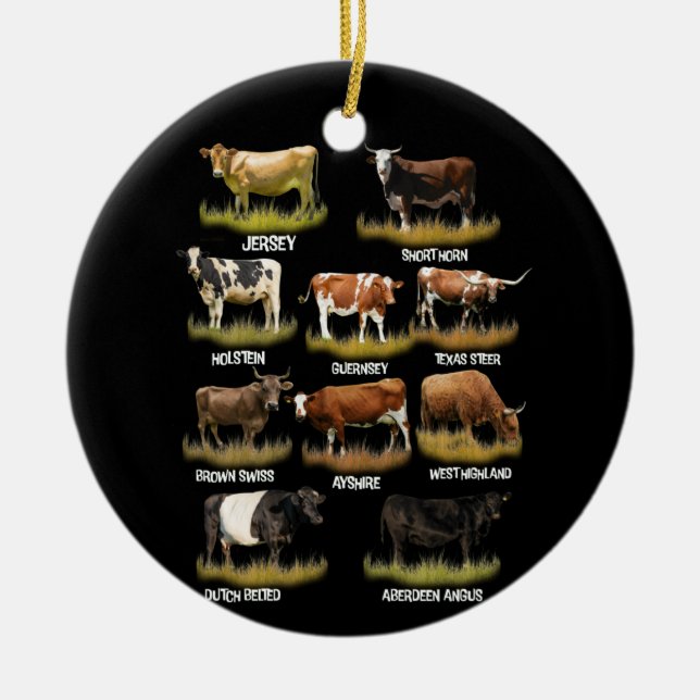 Cow Breeds Retro Farmer Beef and Dairy Graphic Ceramic Ornament (Front)