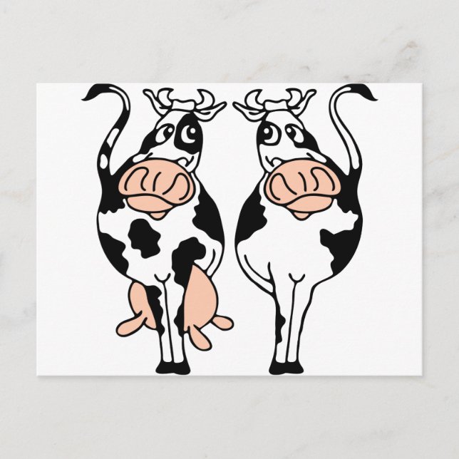 cow-bull-2.png postcard (Front)