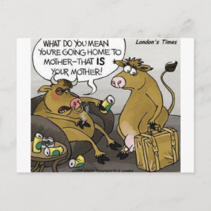 Cow Bull Divorce Funny Cartoon Gifts & Tees Postcard