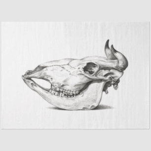 Cow Bull Skull Side Decoupage Vintage Farm Ranch Tissue Paper