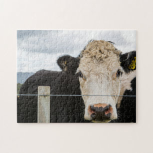 Cow by the Fence Jigsaw Puzzle