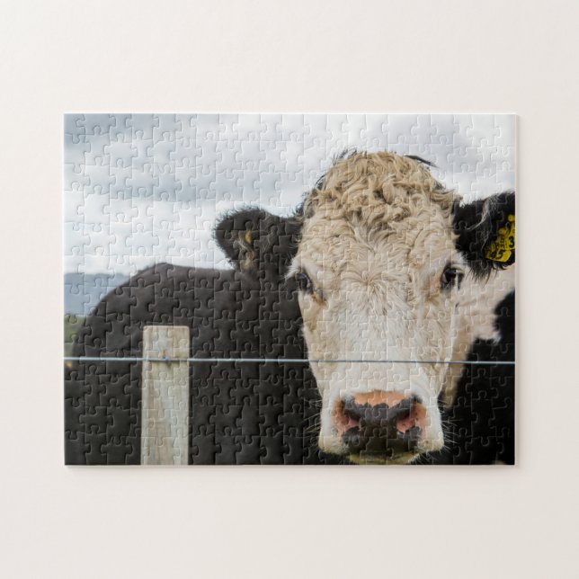 Cow by the Fence Jigsaw Puzzle (Horizontal)