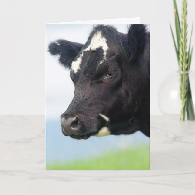 Cow Change of Address Card (Front)