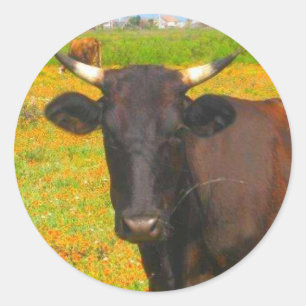 Cow Classic Round Sticker