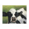 Cow Close-Up Art Postcard