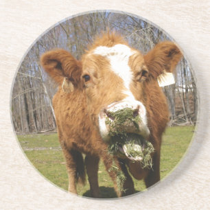 Cow Coaster