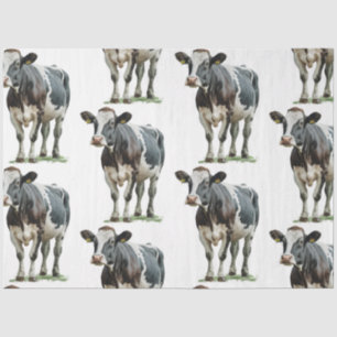 Cow Country Black and White Tissue Paper