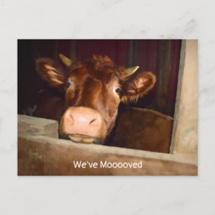 Cow Country Rustic Barn Funny Farm Moving Card
