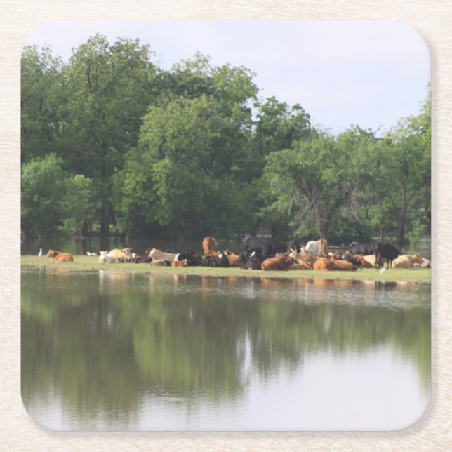 Cow Drink Coaster (Front)