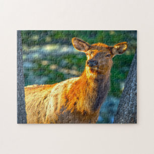 Cow Elk Montana. Jigsaw Puzzle