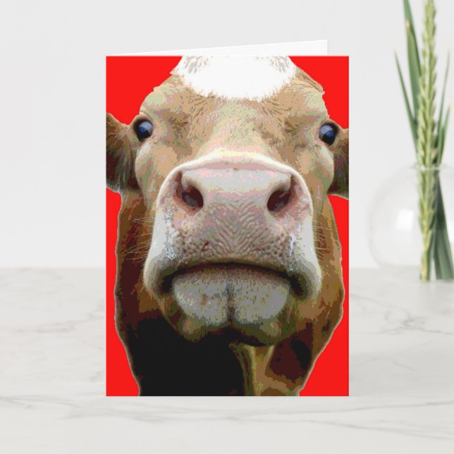 Cow face Birthday card (Front)