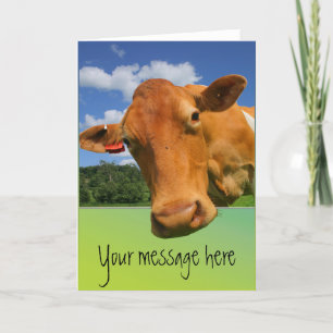 Cow face customisable greeting card