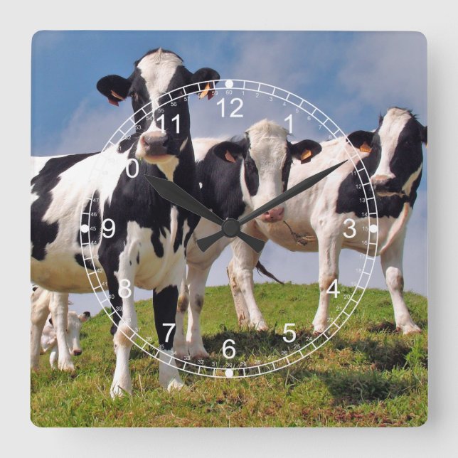 Cow Family Portrait Square Wall Clock (Front)