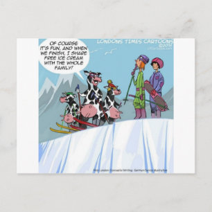 Cow Family Snow Skiing Funny Postcard