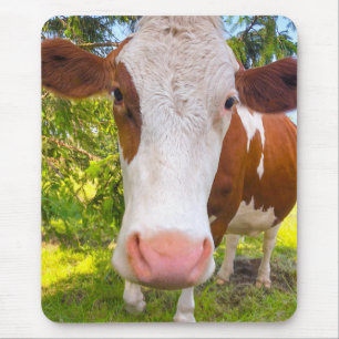 Cow Farm Animal Photo Mouse Pad