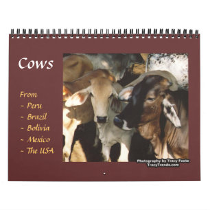Cow Farm Animals Calendar