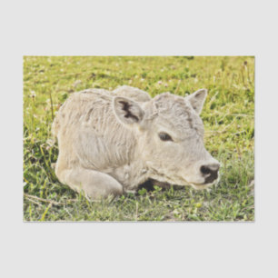 Cow Farm Rustic Country Decoupage Tissue Paper