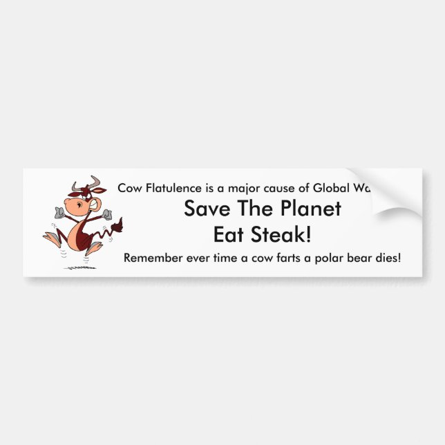 Cow Flatulence is a major cause of Global Warming: Bumper Sticker (Front)