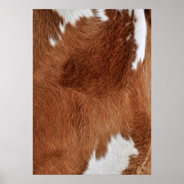 Cow Fur Poster (Front)