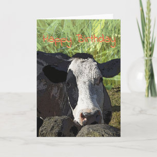Cow graphic art  Birthday Card