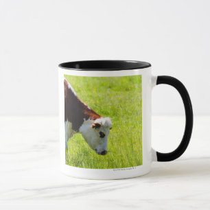 Cow grazing in a field, Loire Valley, France Mug