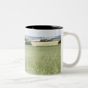Cow grazing in meadow Two-Tone coffee mug